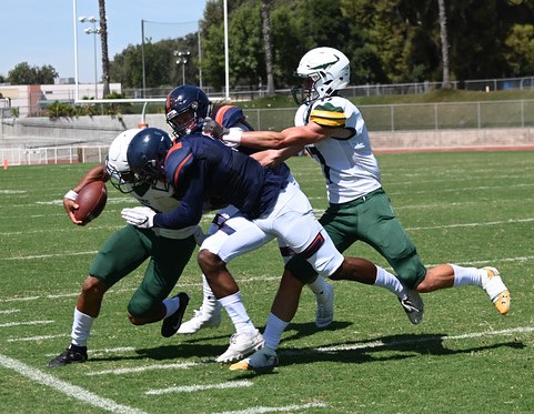 Giants look to build on strong start Saturday at home vs. Santa Rosa