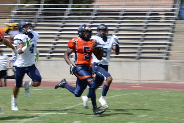 Porchia named CCCAA Player of the Week