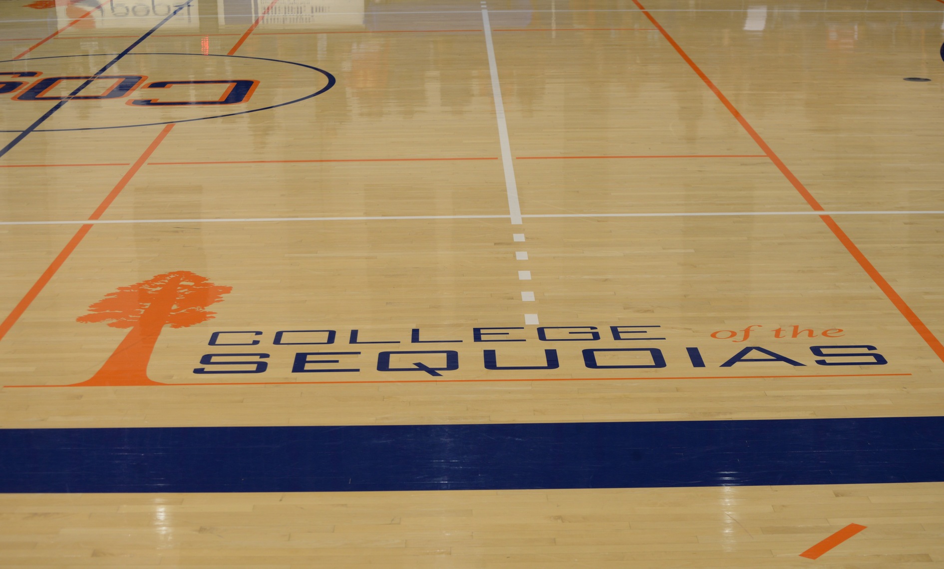 Men's and Women's basketball are back in action