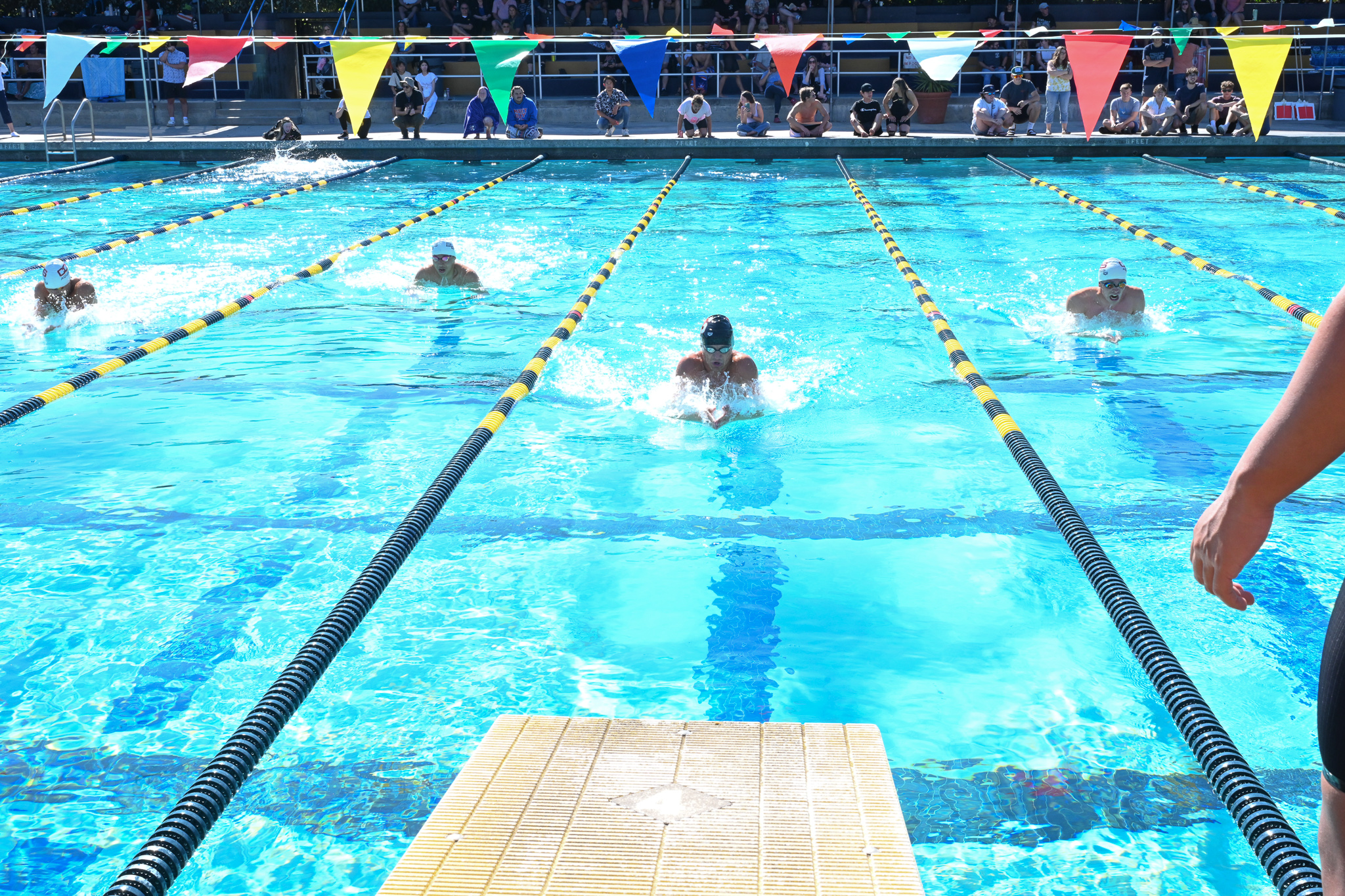 College of the Sequoias' Men's Swimming & Diving team at the Central Valley Conference Championships at Merced College on April 20, 2024.