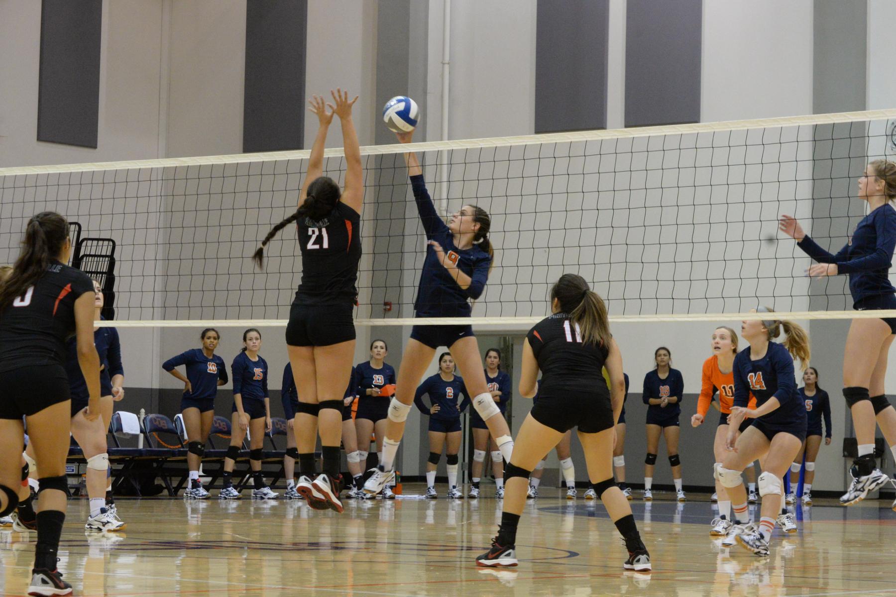 Volleyball Sweep Porterville Season Series