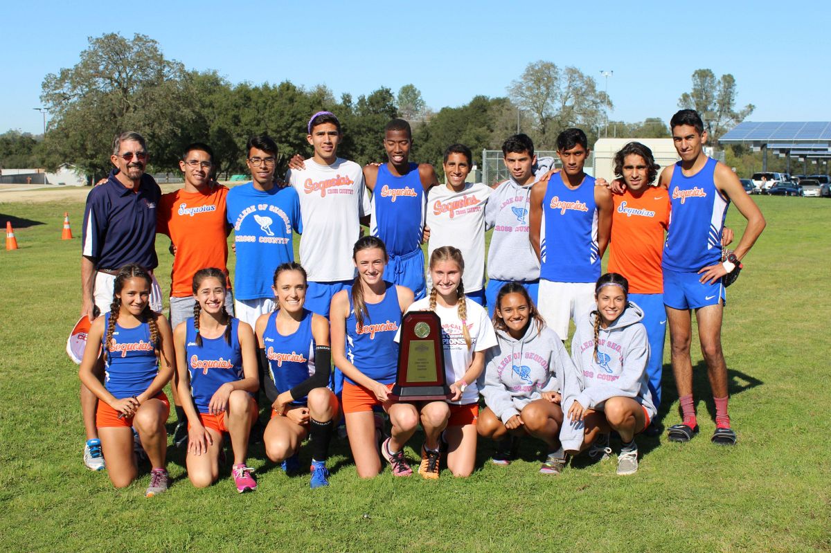 Cross Country Teams Ready for the Big Show
